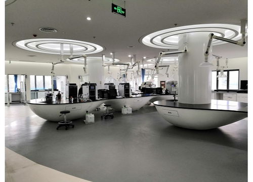 南京組合式稅費(fèi)支持政策助力出口企業(yè)紓困解難